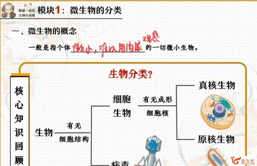 谢一凡2023春高二生物春季尖端班 百度网盘分享