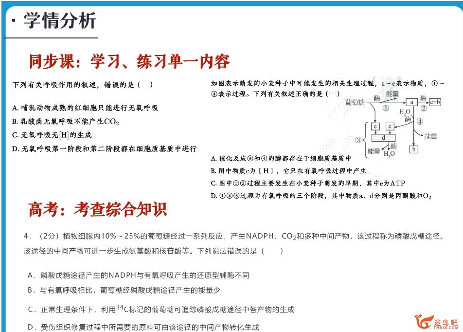 谢一凡2024年高考生物A+一轮秋季班百度网盘 谢一凡生物怎么样