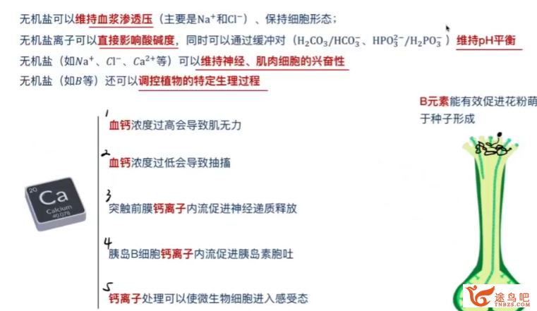 张鹏2024年高考生物全程班一轮暑秋联报直播课 百度网盘分享