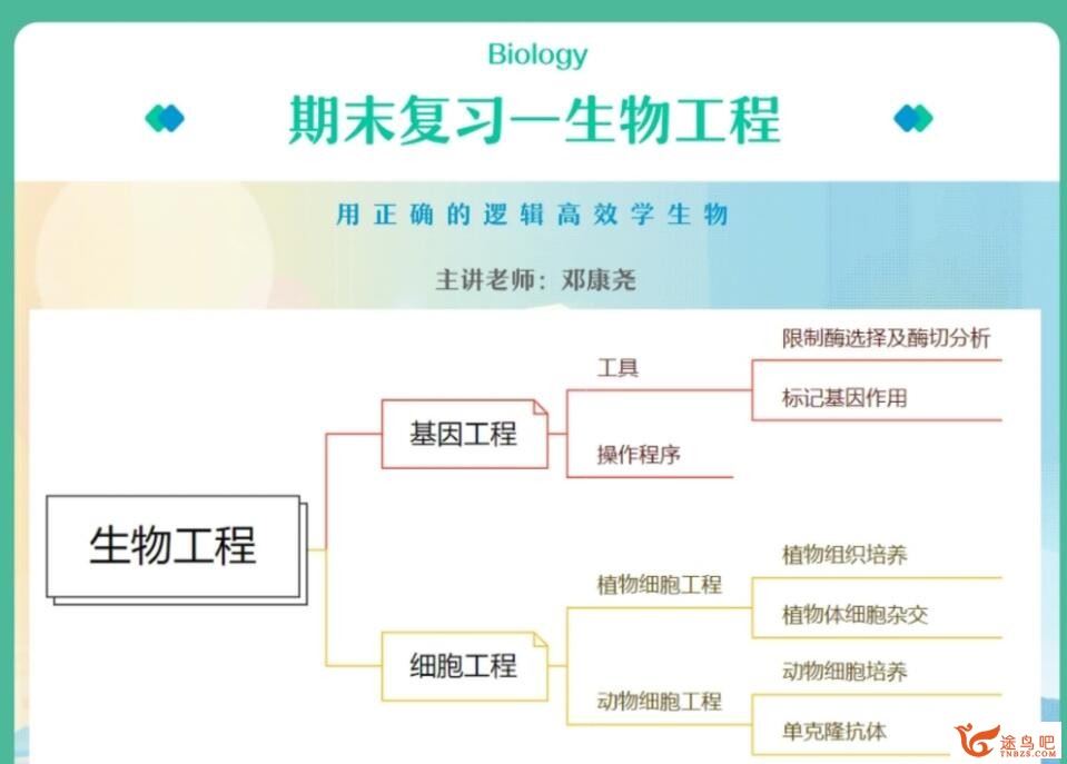 邓康尧2023年高考生物A+二轮复习寒春联报寒假班更新完毕 春季班 百度网盘分享