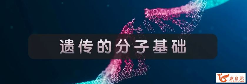 张鹏2024年高考生物全程班一轮秋季班 张鹏生物百度网盘