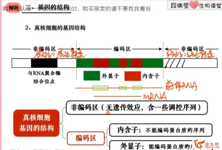 段瑞莹2023寒高二生物寒假系统班 百度网盘分享