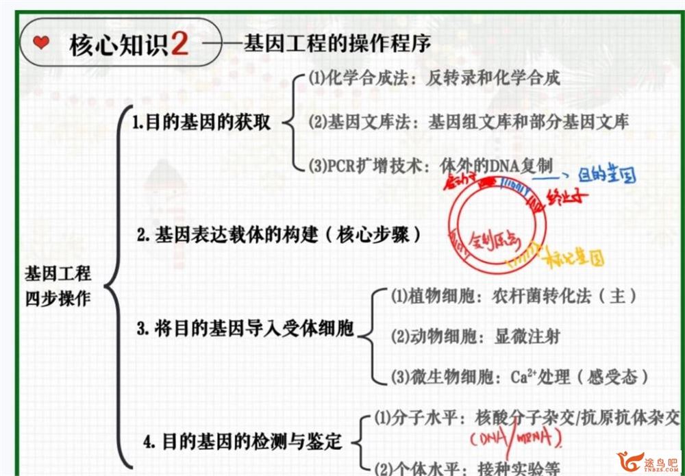 邓康尧2023年高考生物A+二轮复习寒春联报 寒假班 百度网盘分享