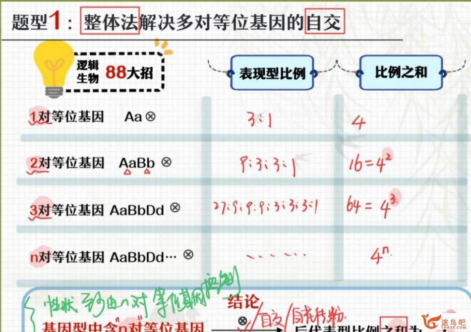 杨雪2023高考生物一轮复习秋季班 百度网盘下载