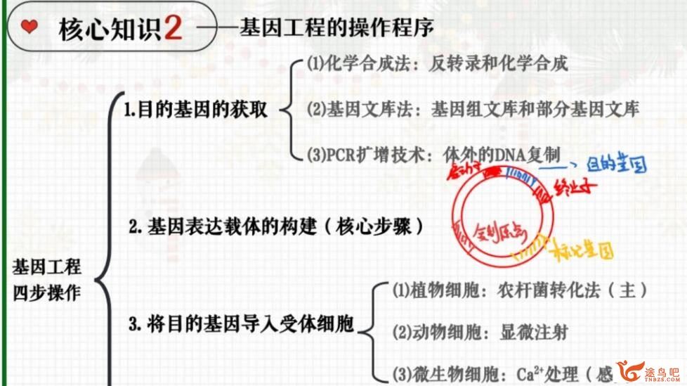 邓康尧2023年高考生物A+二轮复习寒春联报 春季班 百度网盘分享