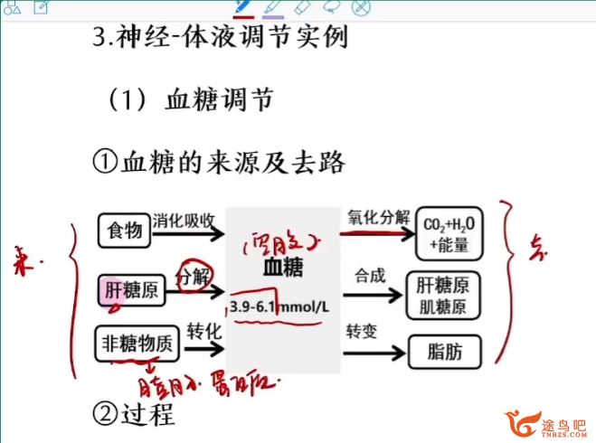 毛慧2024高考生物二轮复习联报持续更新 毛慧高考生物百度网盘下载