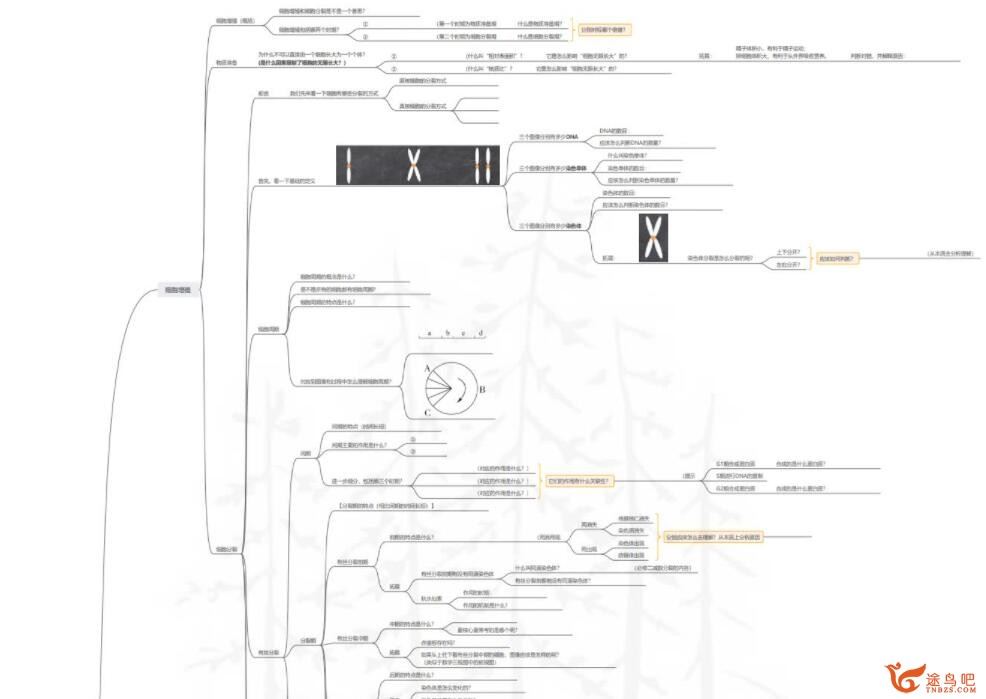 树成林2022高考生物冲刺班 30讲完结带课件 百度网盘分享