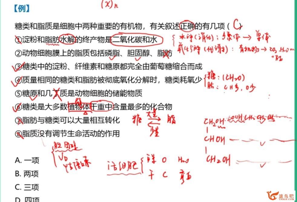 周云 2023寒 高一生物寒假尖端班 19讲带笔记 百度网盘分享