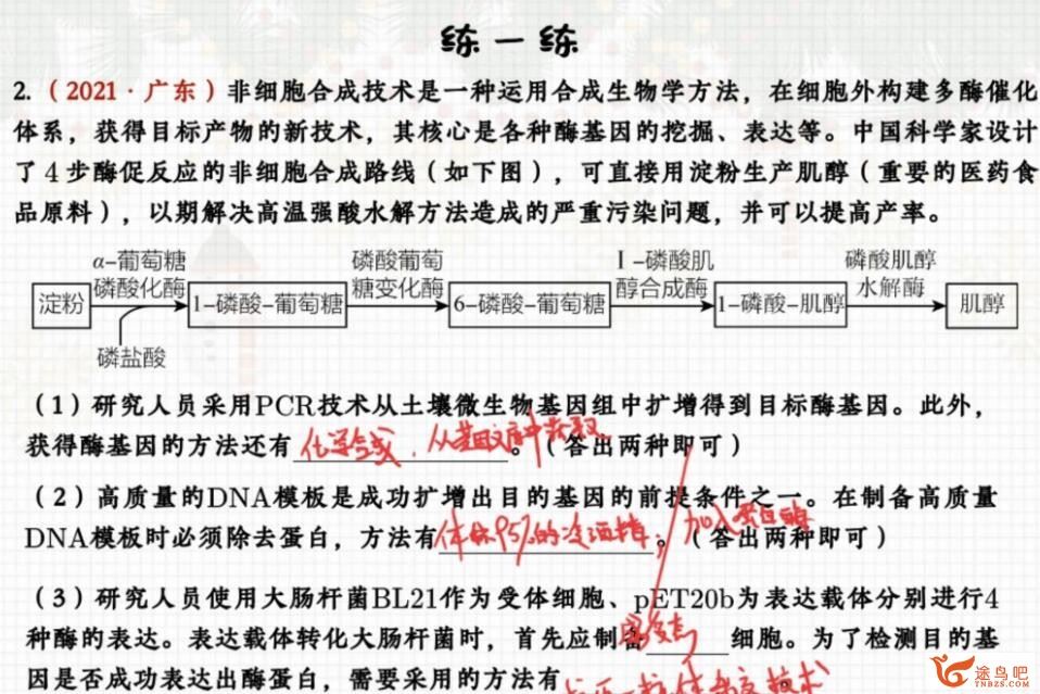 邓康尧2023年高考生物A班二轮复习寒春联报 寒假班完结 百度网盘分享