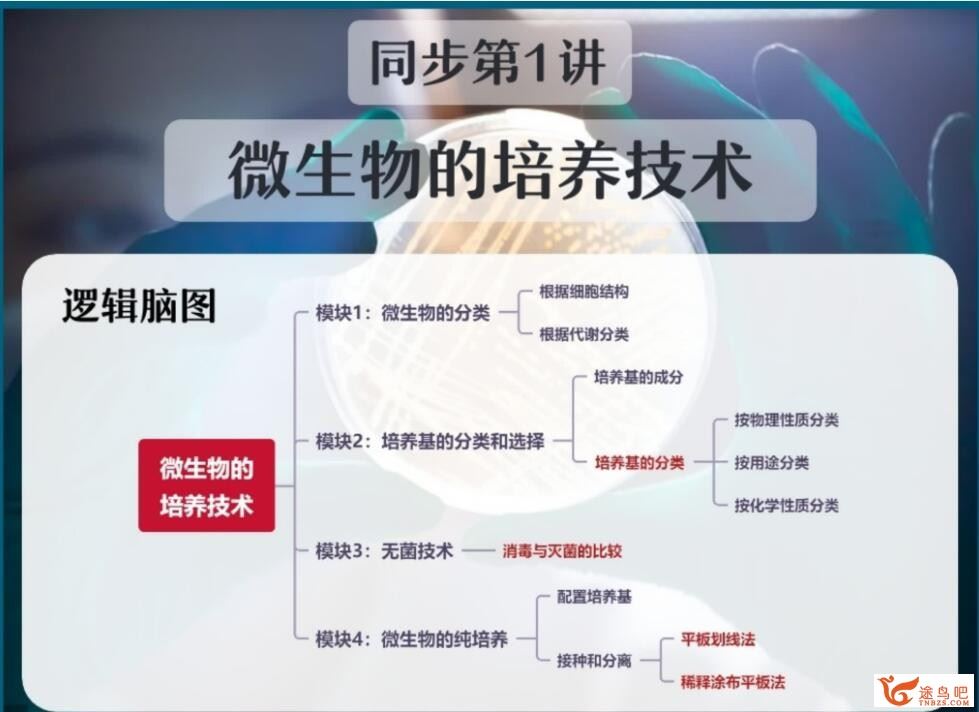 谢一凡2023春高二生物春季尖端班 百度网盘分享