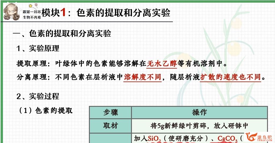 谢一凡2024年高考生物A+一轮暑秋联报秋季班 谢一凡高考生物怎么样