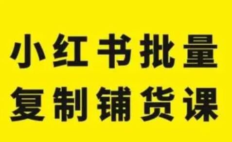 张宾·小红书批量复制铺货课，抓住小红书的流量红利 更新2023年2月 82节课百度网盘下载