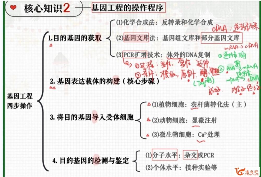 杨雪2023年高考生物A二轮复习寒春联报 寒假班 百度网盘分享