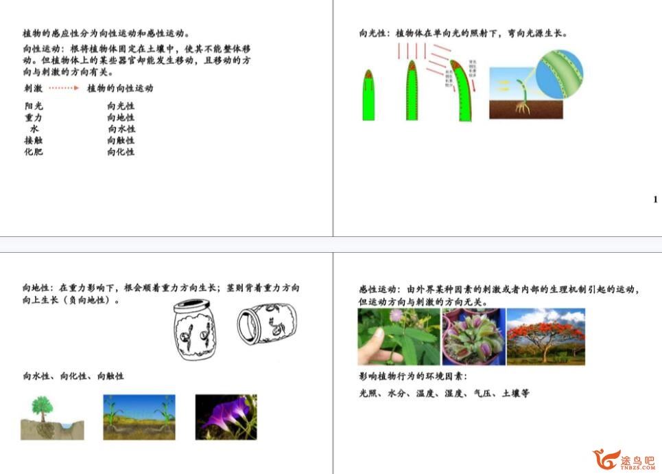 陆巍巍 新初二科学年卡尖子班生物篇（浙教版) 19讲 百度网盘分享