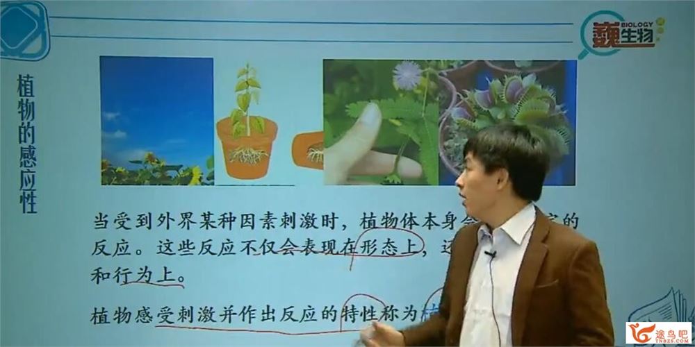 陆巍巍 新初二科学年卡尖子班生物篇（浙教版) 19讲 百度网盘分享