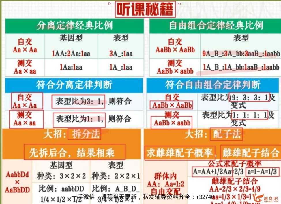 杨雪2023高考生物一轮复习秋季班 百度网盘下载