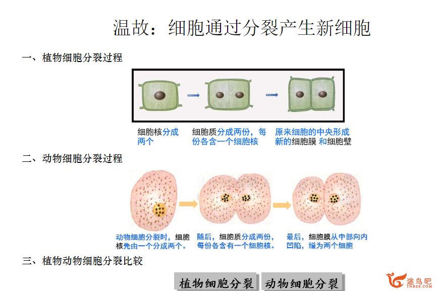 徐京高一生物2023暑假班 百度网盘下载