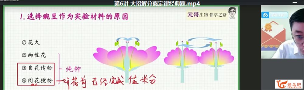 张元振 2022暑假 高一生物暑假尖端班（更新中）课程视频百度云下载