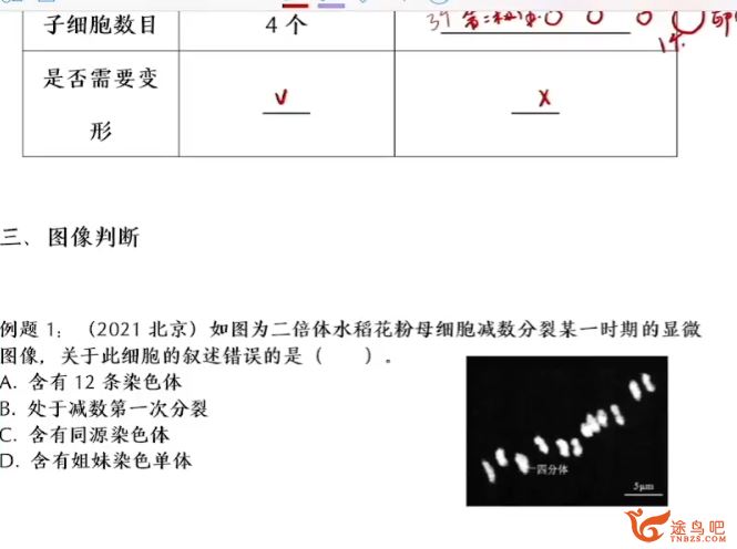 毛慧2024高考生物一轮复习暑秋联报暑假班 百度网盘分享