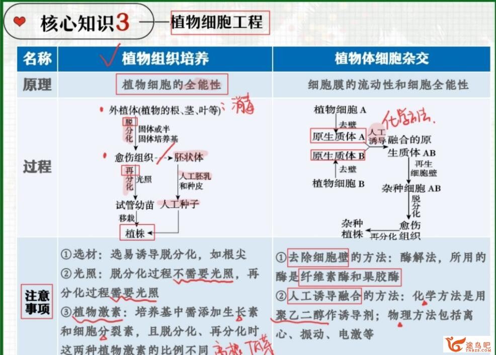 杨雪2023年高考生物A+二轮复习寒春联报 春季班 密训班 百度网盘下载