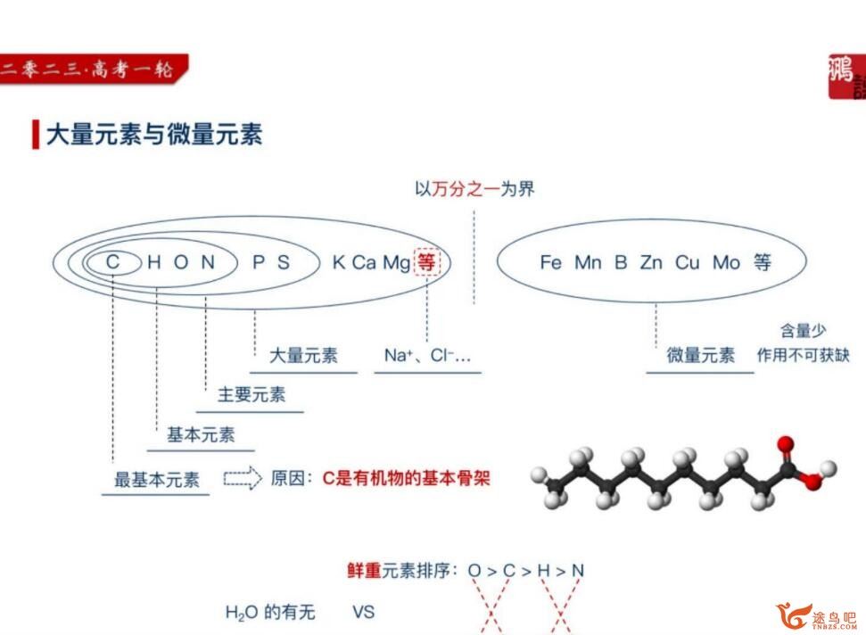 张鹏2023高考生物一轮复习联报 秋季班完结 百度网盘分享