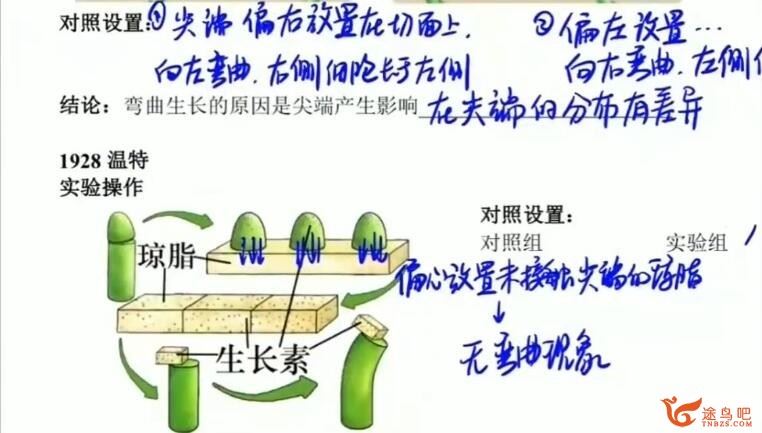 任春磊2022暑 高二生物暑假系统班 8讲完结百度网盘下载