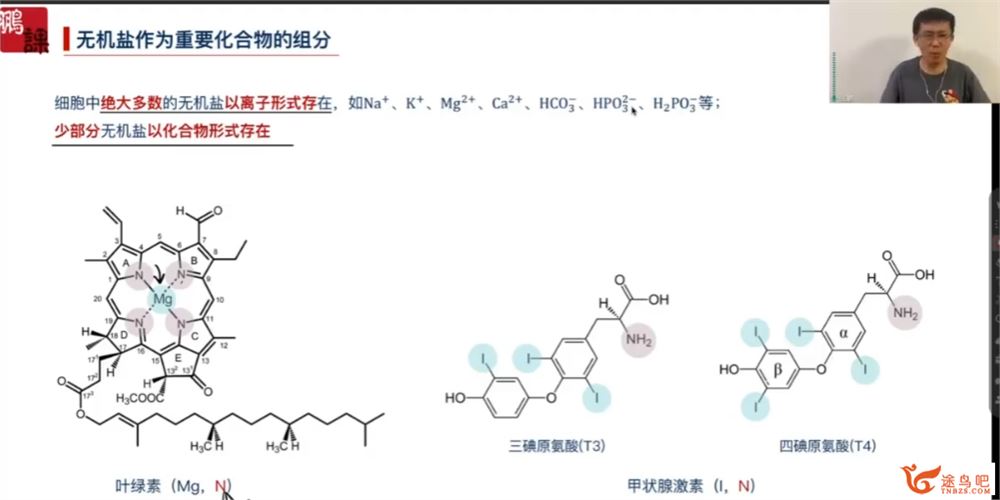 张鹏2024年高考生物全程班一轮一轮暑秋联报一轮直播课 百度网盘分享