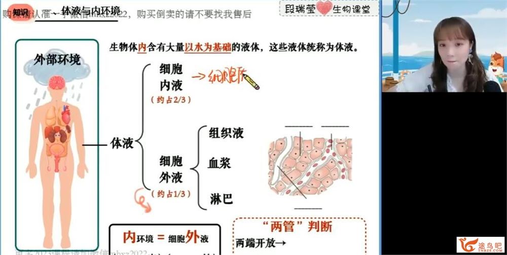 段瑞莹 2022秋 高二生物秋季系统班 15讲完结百度网盘分享