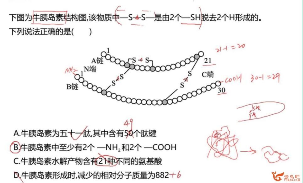 周云 2022秋 高一生物秋季尖端班带讲义 百度网盘下载