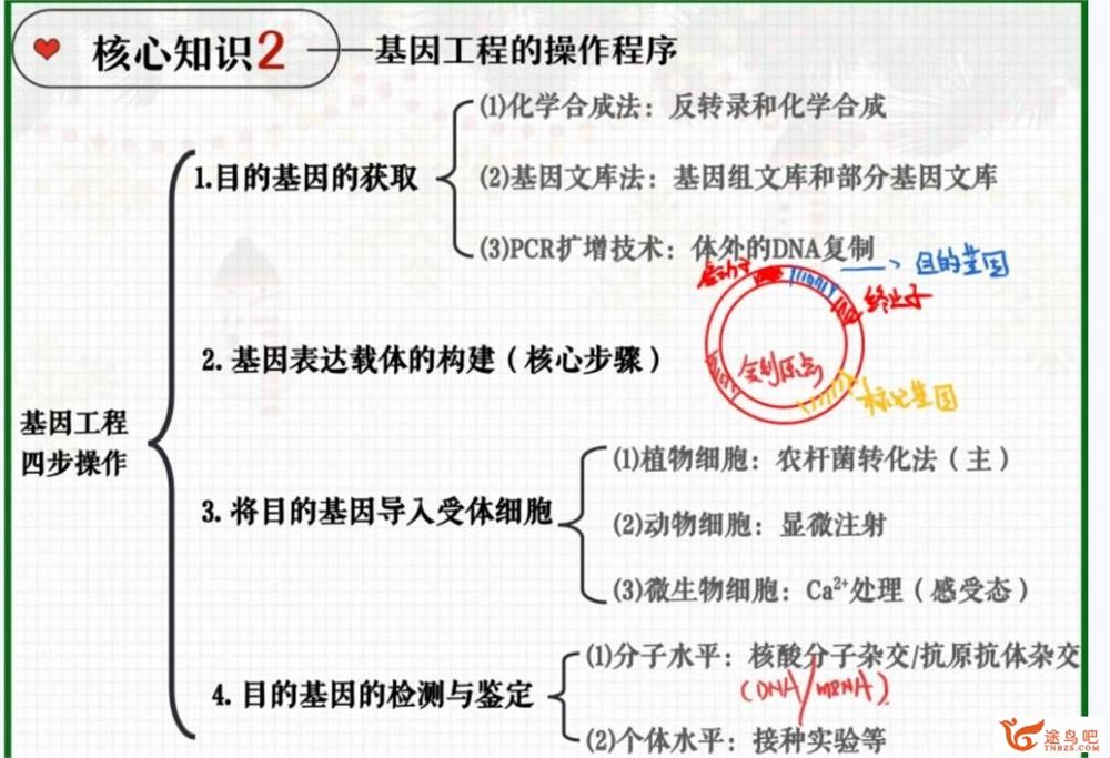 邓康尧2023年高考生物A+二轮复习寒春联报 春季班 百度网盘下载