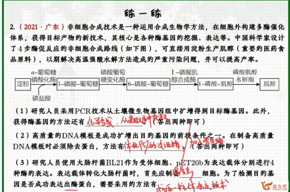 邓康尧2023年高考生物A+二轮复习寒春联报 春季班 百度网盘下载