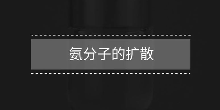 火#花#学院初中化学实验171个高清视频课件 百度网盘下载