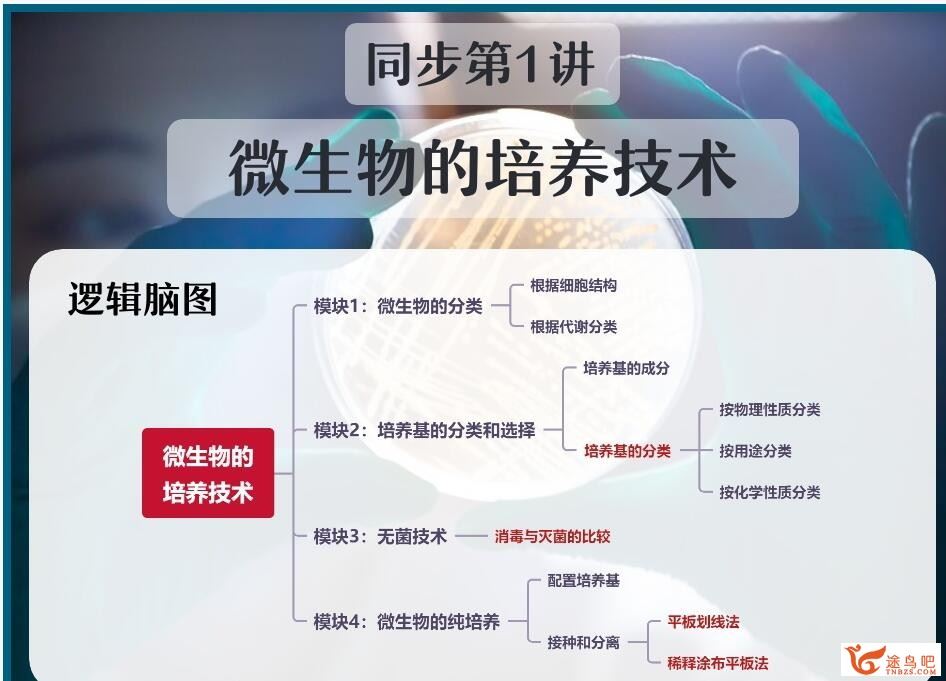 谢一凡2023春高二生物春季尖端班 百度网盘下载